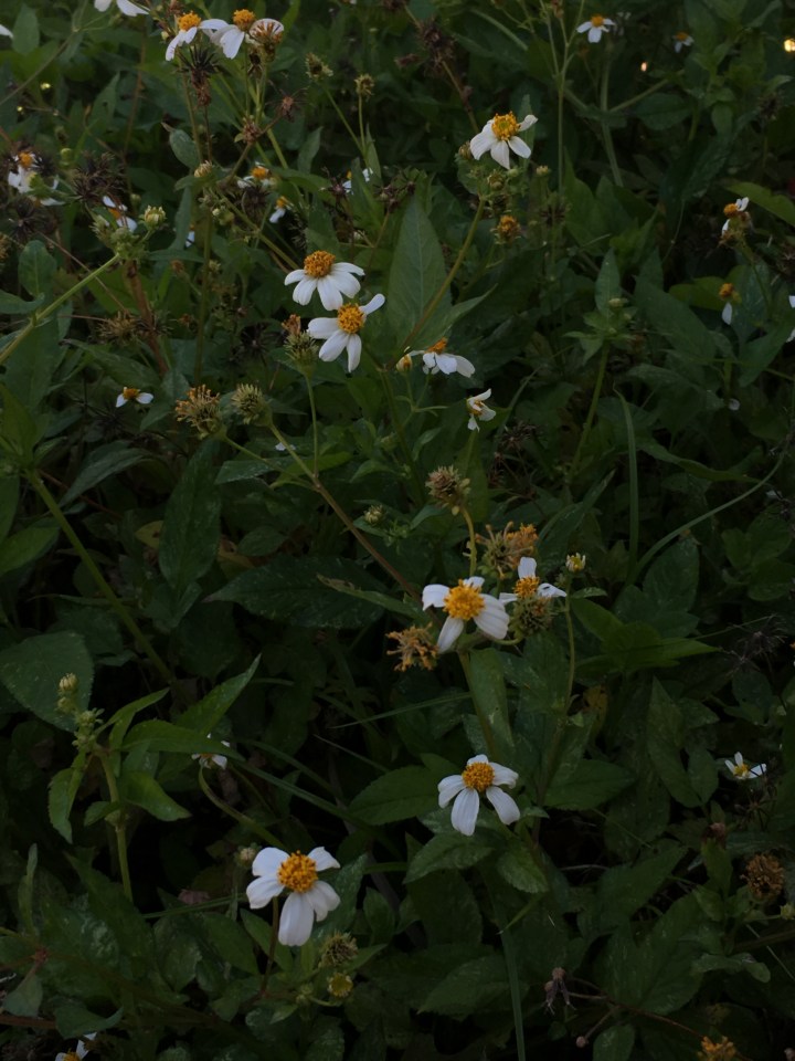 HALF OF 2019 IS ALREADY OVER – A TALK ABOUT&nbsp;DEATH